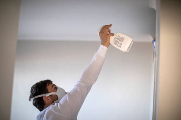 Best Commercial Mold Removal  in Menonee, MI