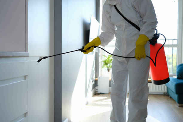 Best Commercial Mold Removal  in Menonee, MI